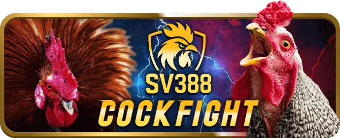 Đá gà cựa sắt uuu88 casino